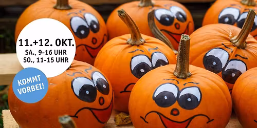 Kinder-Kürbistage