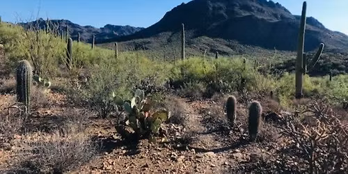 Tucson Mtn Park