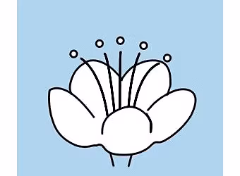 Self Confidence and Healthy Relationship Workshop for 16 to 25 year old.