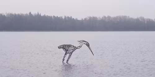 Three Reservoirs Guided Walk