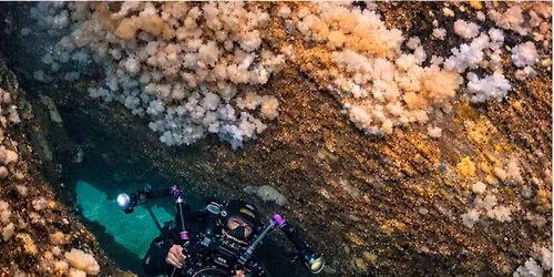 A Journey Beneath the Waves - an evening with Peter Bardsley