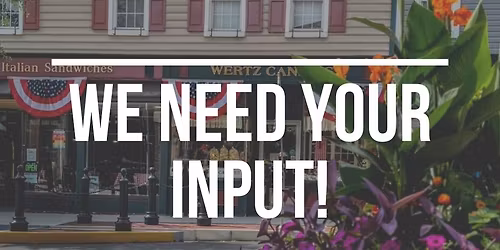 Downtown Stakeholder Input Session