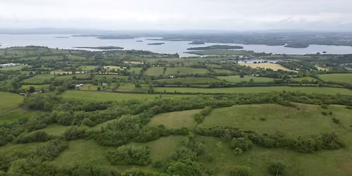 Fedian Summer Safari  - exclusively for Ulster Wildlife members