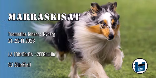 Kitkan marraskisat