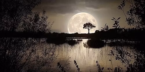 Splnov\u00e9 spl\u00fdvanie v Dunaji