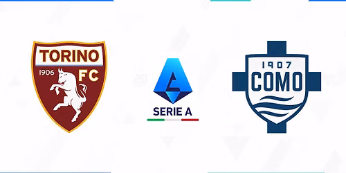 Torino vs Fiorentina at Torino Stadio Olimpico
