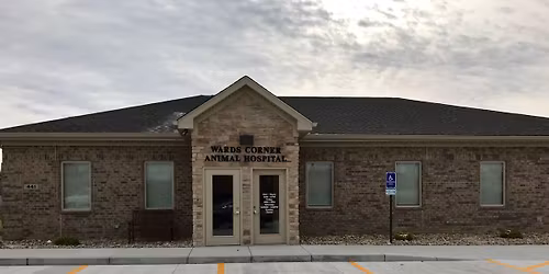 Pet Photo With Santa