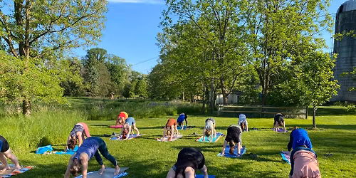 Yoga in the Park