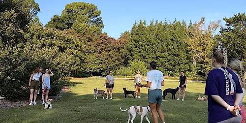 Hampton Park Volunteer Dog Walk