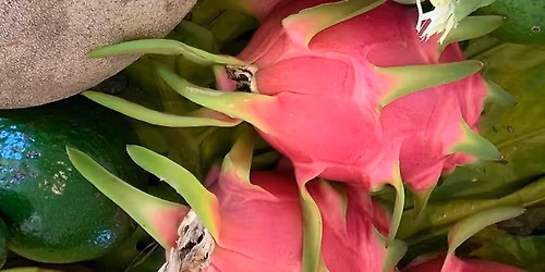 Growing Tropical Fruit in Martin County