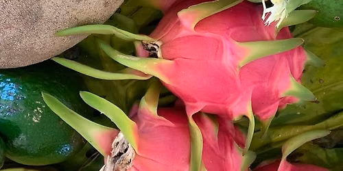 Growing Tropical Fruit in Martin County