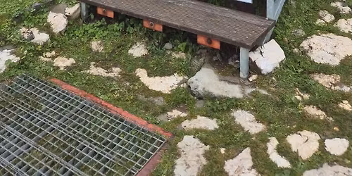 Weekend \u00een Carpa\u021bii de Curbur\u0103: V\u00e2rful Piatra Mare