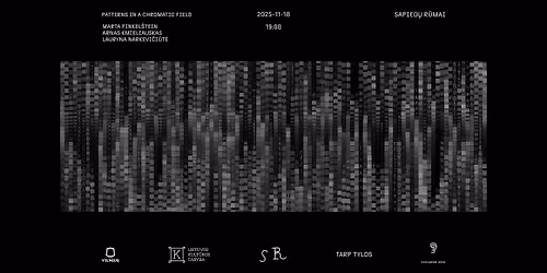 FELDMAN: Patterns in a Chromatic Field | D\u0117mesio praktika