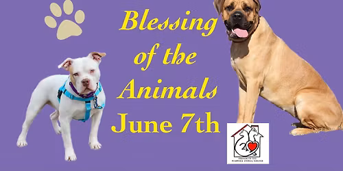 Blessing of the Animals at Woodbury Union Church