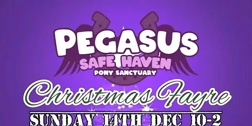 Christmas Craft Fayre