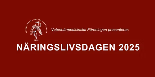 N\u00e4ringslivsdagen 2025