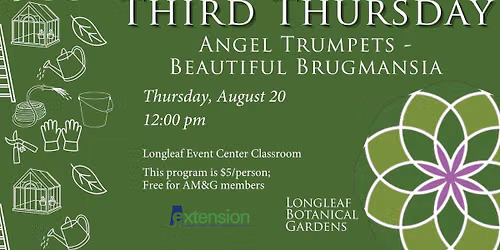 Third Thursday: Angel Trumpets - Beautiful Brugmansia