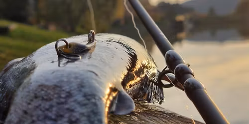 Redbass team cup Jest\u0159abice podzim 2025