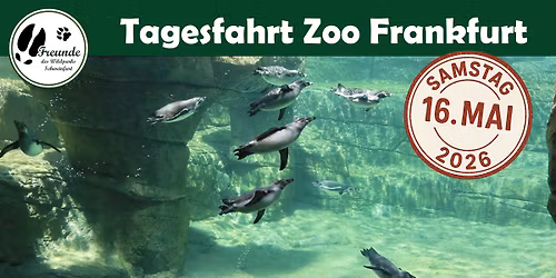 Tagesfahrt - Zoo Frankfurt