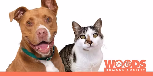 Free Microchip Clinics