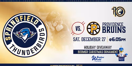 Springfield Thunderbirds vs. Providence Bruins