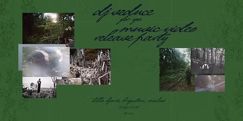 DJ Seduce Music Video Release Party  |  Lilla Bjur\u00f6, Brogatan