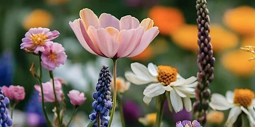 Book and Bloom Club: Where the Wildflowers Grow