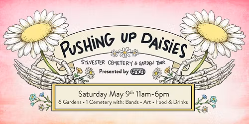 Pushing Up Daisies \ud83c\udf3c