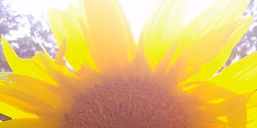 Read & Seed Children's Event