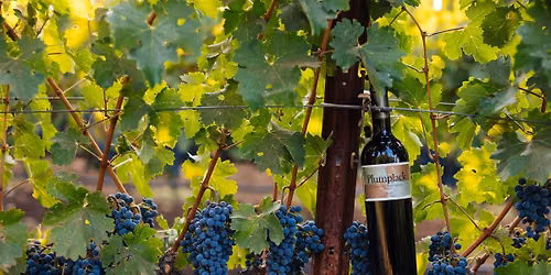 PlumpJack Wine Dinner