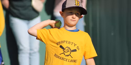 Larks Beginner Baseball Camp