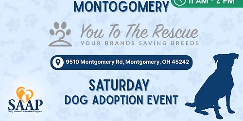 Dog Adoption Event - You To The Rescue
