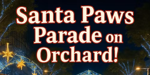 \ud83c\udf85 Santa Paws Pack Walk on Orchard Rd \ud83c\udf84
