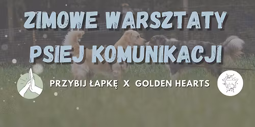 Zimowe warsztaty psiej komunikacji | Bydgoszcz