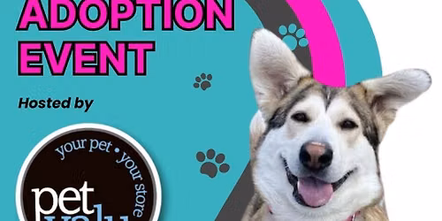 ITAV Adoption Event \ud83d\udc3e