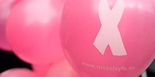 Rosa sl\u00f8yfe 2026, M\u00e5l\u00f8y