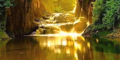 Summer Solstice Healing Experience and Celebration\u2728