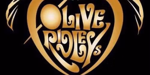 Brandon Frenyea @Olive Ridley\u2019s