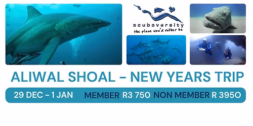 Aliwal Shoal New Years Trip! 29 Dec-1 Jan 2025