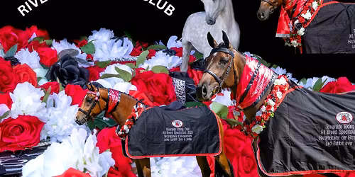 Riverside Riding Club - April Gymkhana