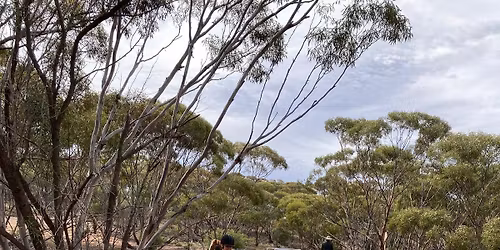 Confidence On The Trail Clinic