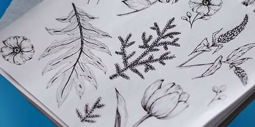 Nature Journaling: Birds & Native Plants