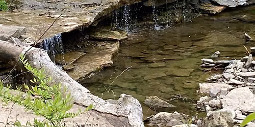 Nurtured By Nature Walking Series (Sundays)