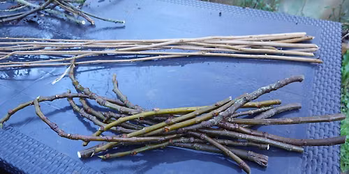 Fall & Winter Propagation at Stark