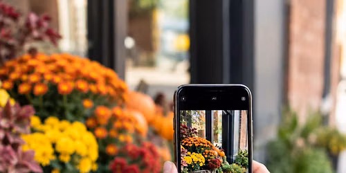 Smartphone Photography Basics - Adults