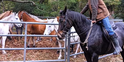 New Forest Commoning: A talk by Sally Marsh
