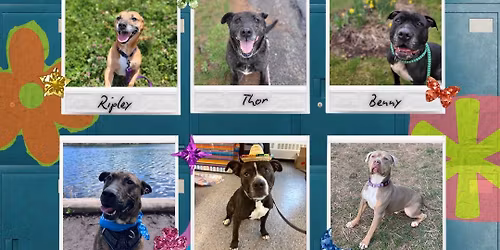 CNY SPCA Adoption Event