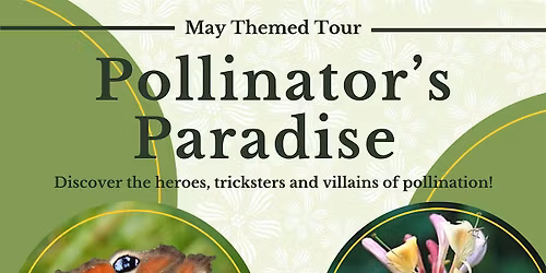 Pollinator's Paradise
