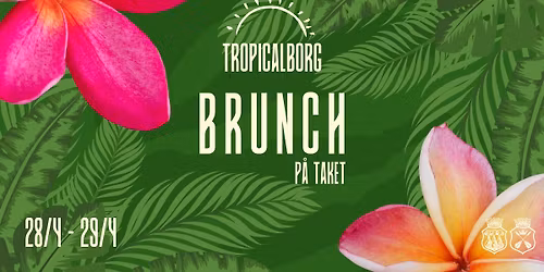 Tropicalborg - Brunch p\u00e5 Taket