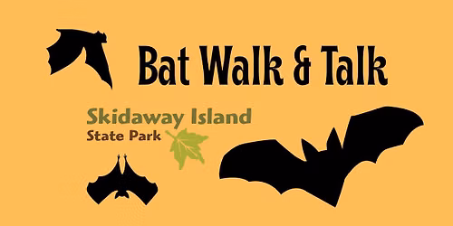 Bat Walk & Talk